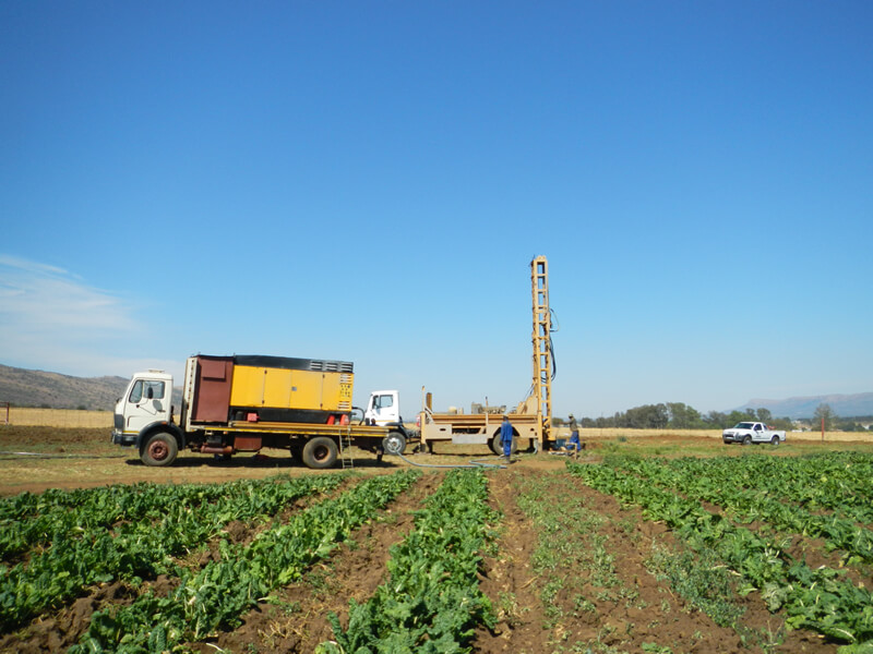 trucks parked in front of crops