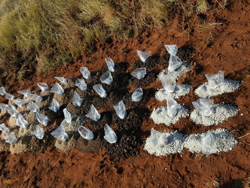 plastic bags buried in sand